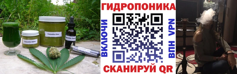 KRAKEN ССЫЛКА  сколько стоит  Грязовец  Печенье с ТГК марихуана 