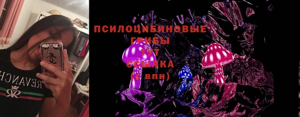 прущий лед Алзамай