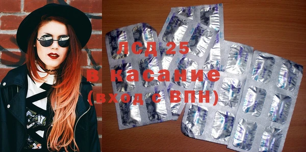 прущий лед Алзамай