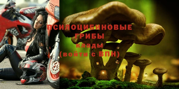 ALPHA-PVP Алексин