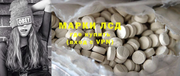 прущий лед Алзамай