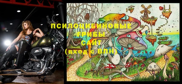 ALPHA-PVP Алексин