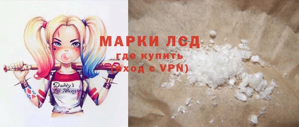 прущие грибы Валдай